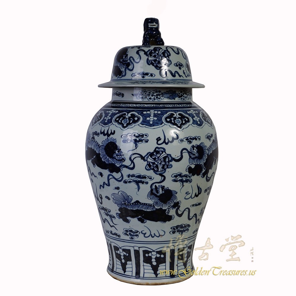 Chinese Antique Blue and White Porcelain Ginger Jar 18LP20