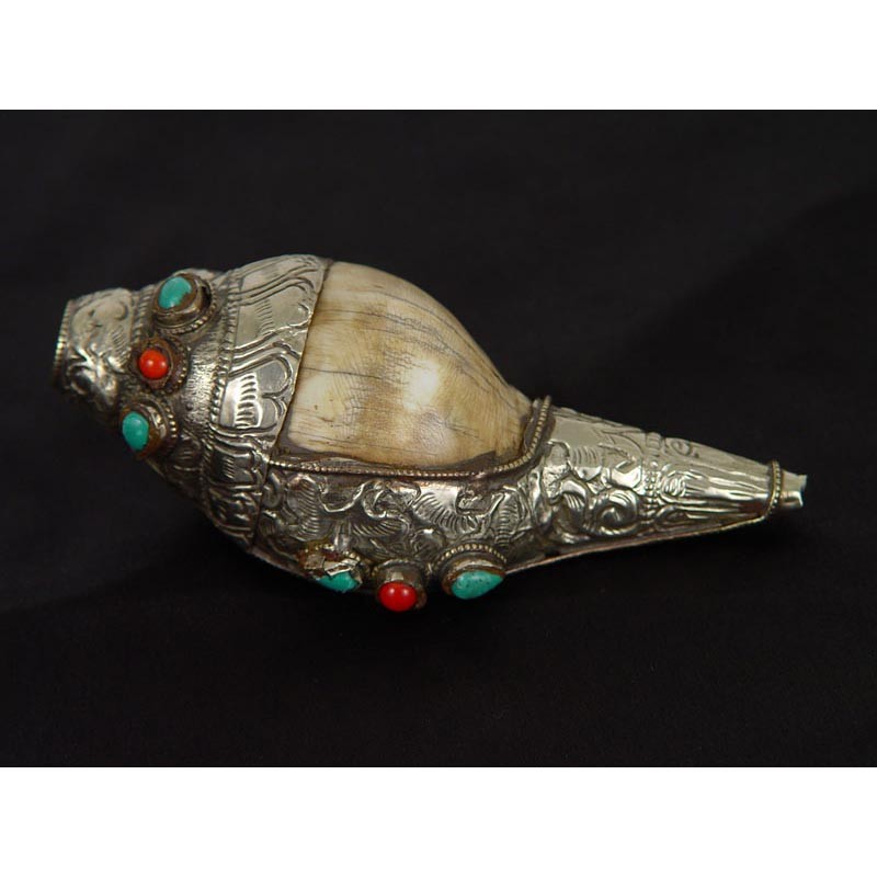 Tibetan Antique Buddhist musical instrument - Conch